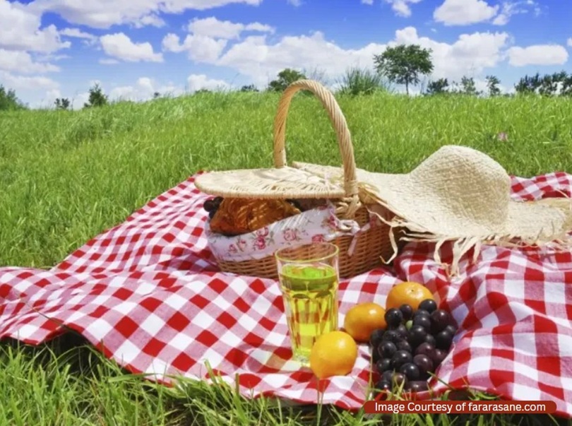 ایده پیک نیک تابستانی