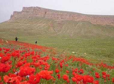 آشنایی با شهرستان کبودرآهنگ