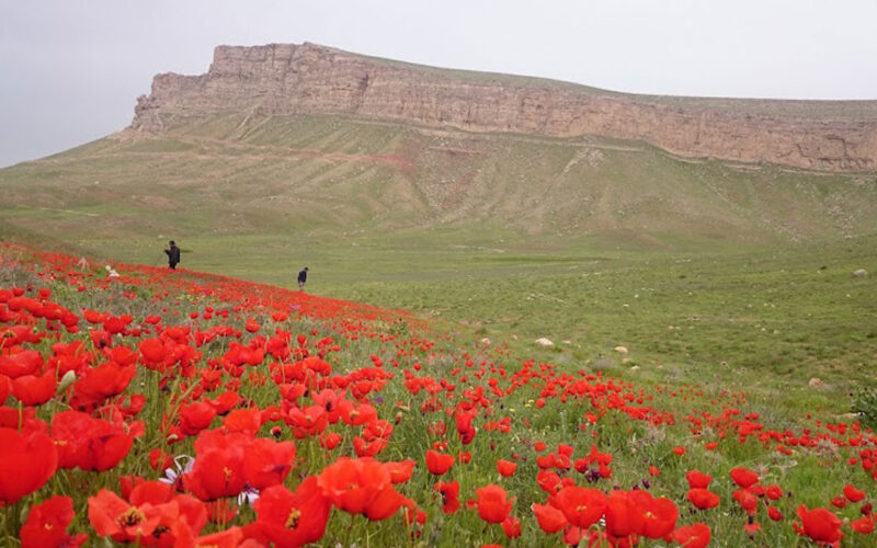 آشنایی با شهرستان کبودرآهنگ