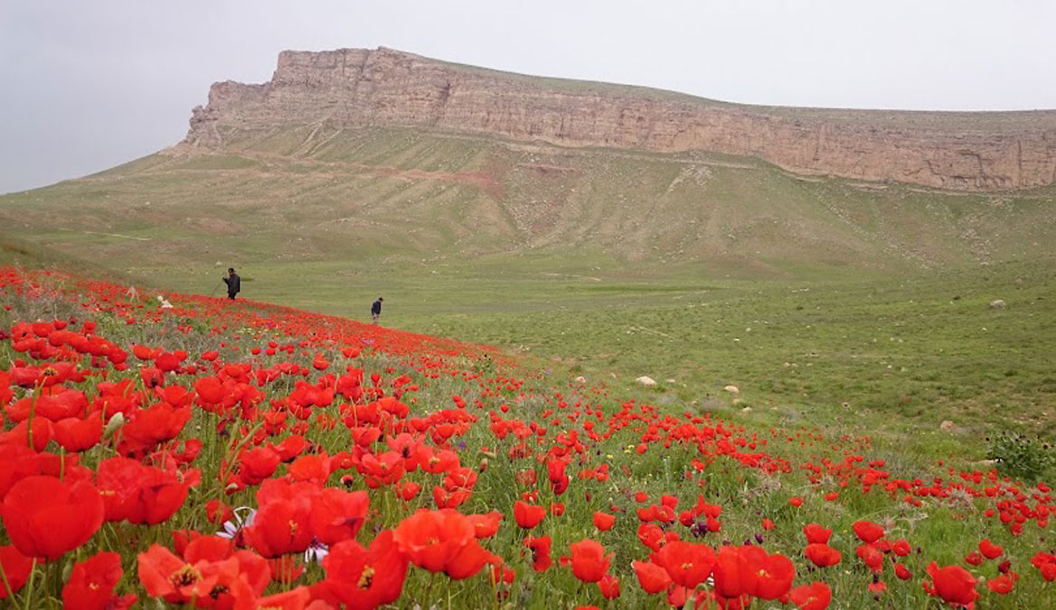 آشنایی با شهرستان کبودرآهنگ