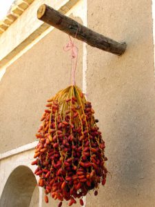 dates in Central Iran, Your Travel Destination in 2011