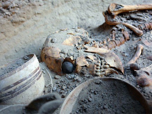Eyeball from a Skeleton in Burnt City