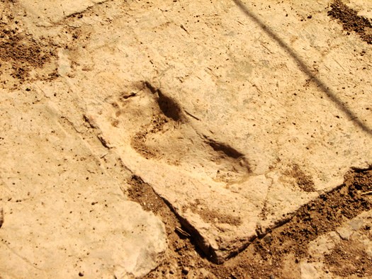 Footprint at Tchogha Zanbil