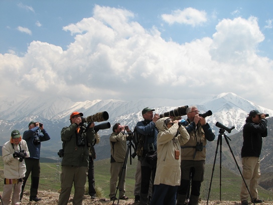 Tourists taking Photo in Iran
