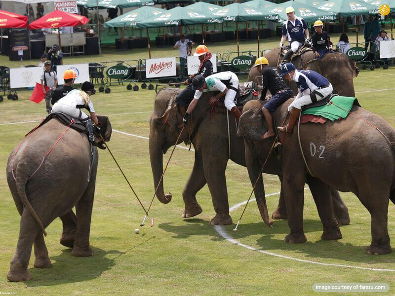 Polo game with elephants