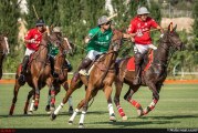 Chogan (Polo), an Ancient Iranian Horse Riding Game