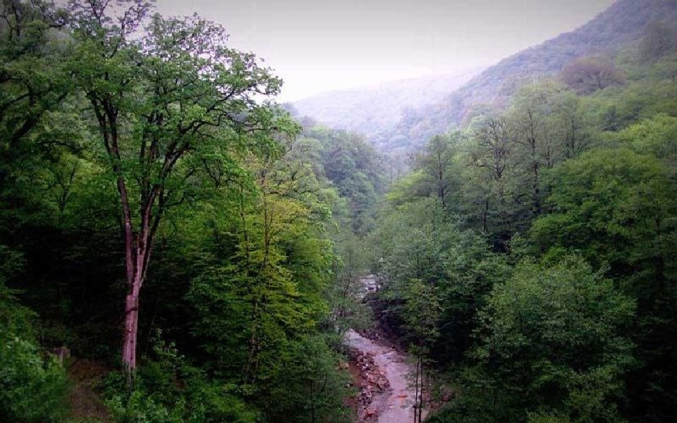 Hyrcanian forests near the Caspian Sea