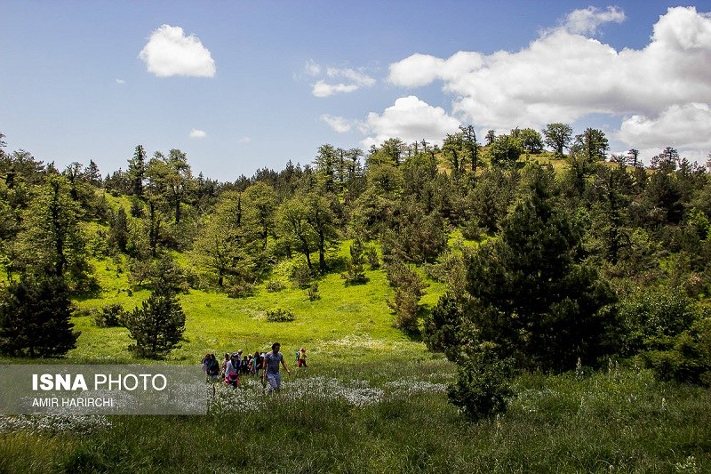 Shahroud Tourist Attractions: Abr Forest