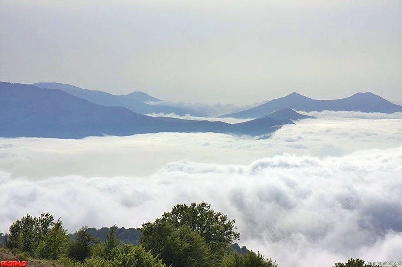 Shahroud Natural Attractions: Clouds Forest