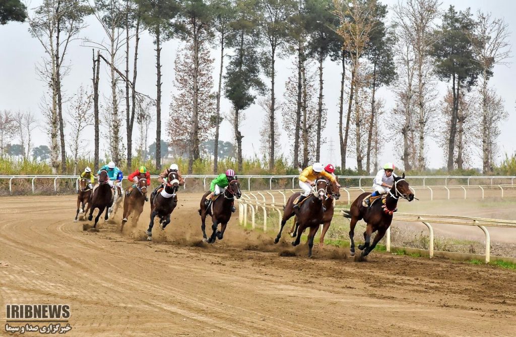 Equestrian Complex: Savarkari Gonbad