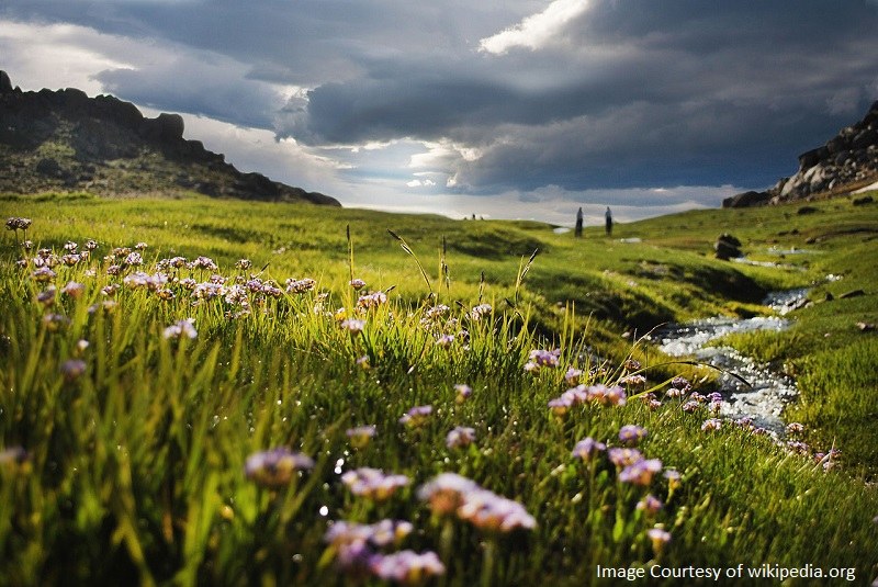 Mishan Plain: Hamadan Natural Attractions