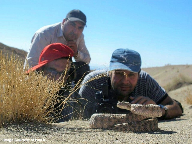 Bushehr Natural Attractions: Kouh-e Siah