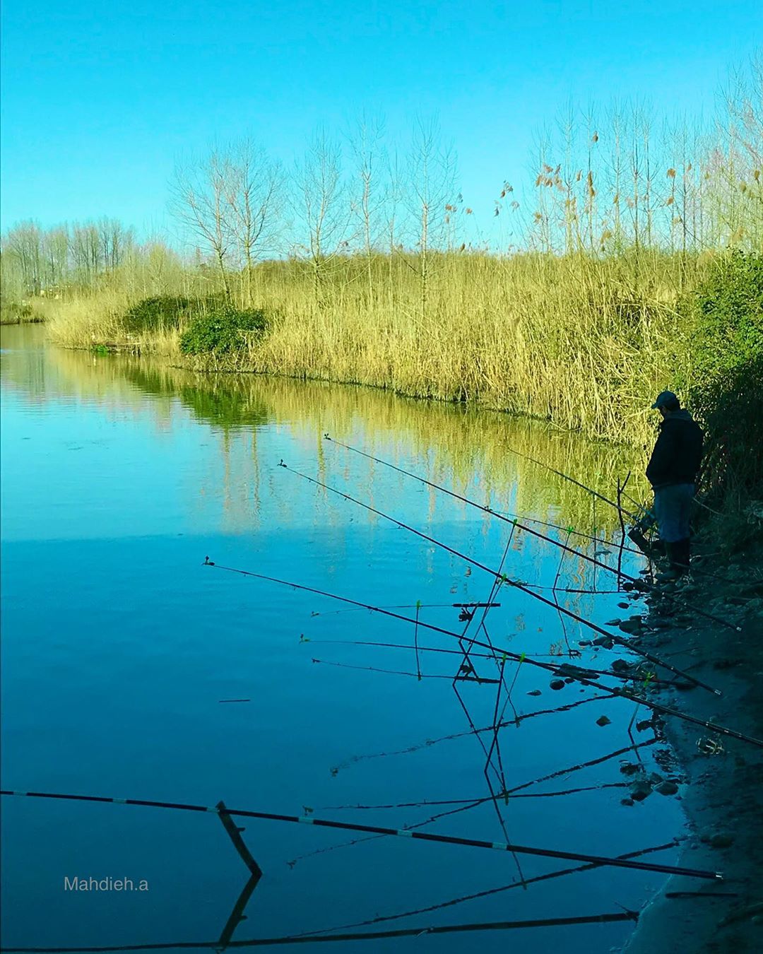 Fishermen in Anzali Lagoon