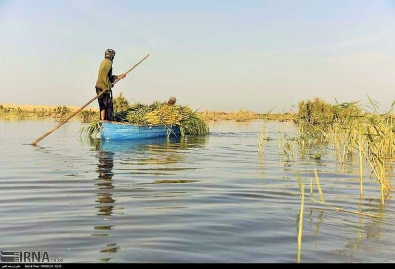 Hamoon Lagoon & Lake