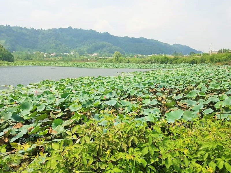 View of Soostan Lagoon