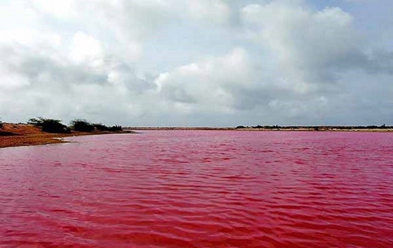 Chabahar Natural Attractions: Lipar Pink-Lagoon