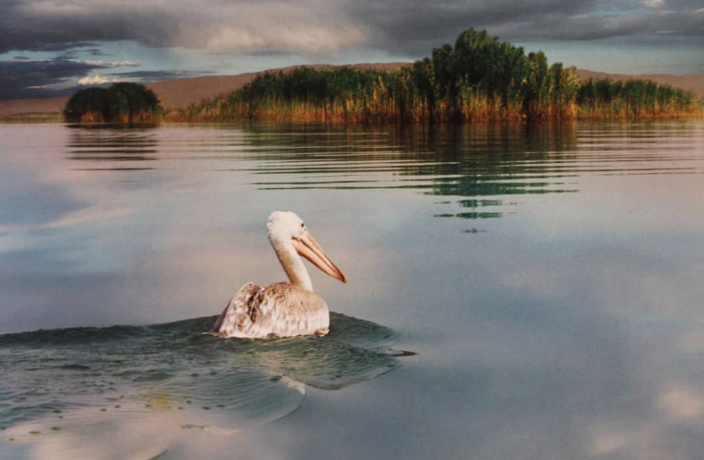 Parishan Wetland - Famour Lake