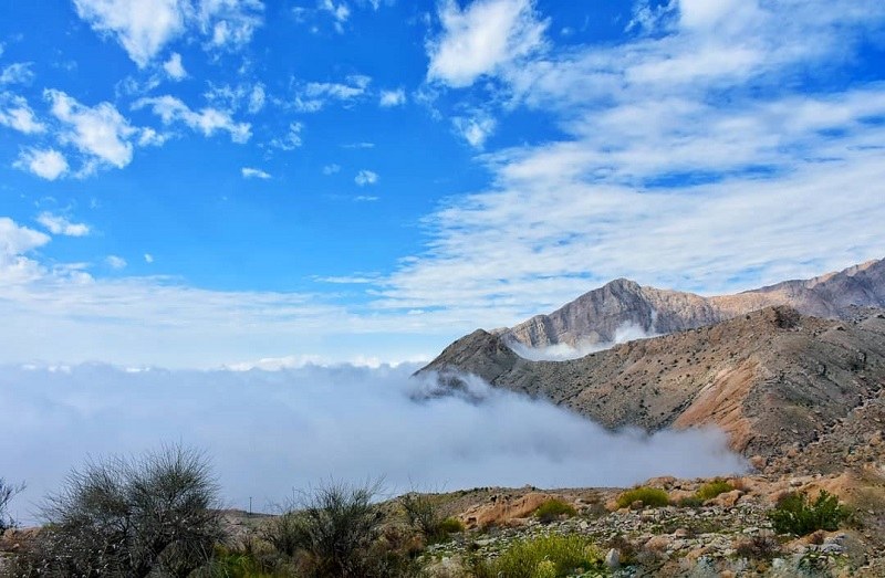 Geno Biosphere Reserve Mountains Fog