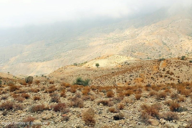 Geno Biosphere Reserve in Iran