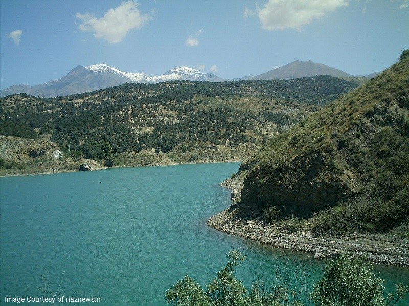 Kavir National Park: Flora plants