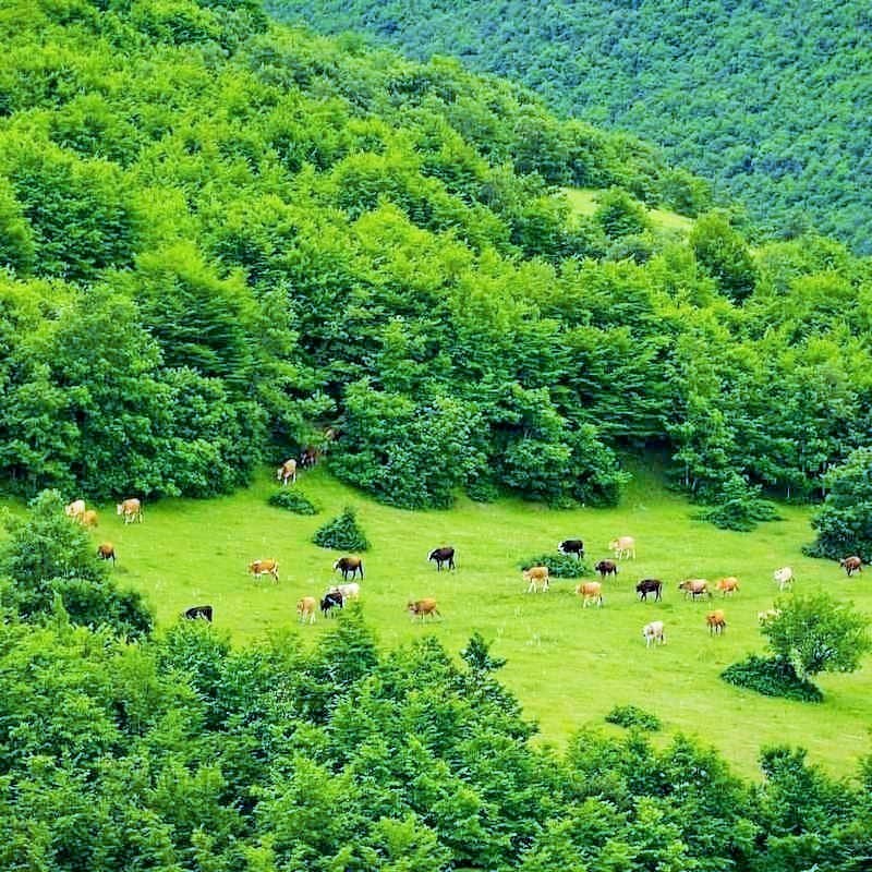 Pastures of Arasbaran Biosphere Reserve