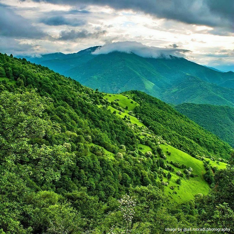 Arasbaran Biosphere Reserve, Qara Dag Area