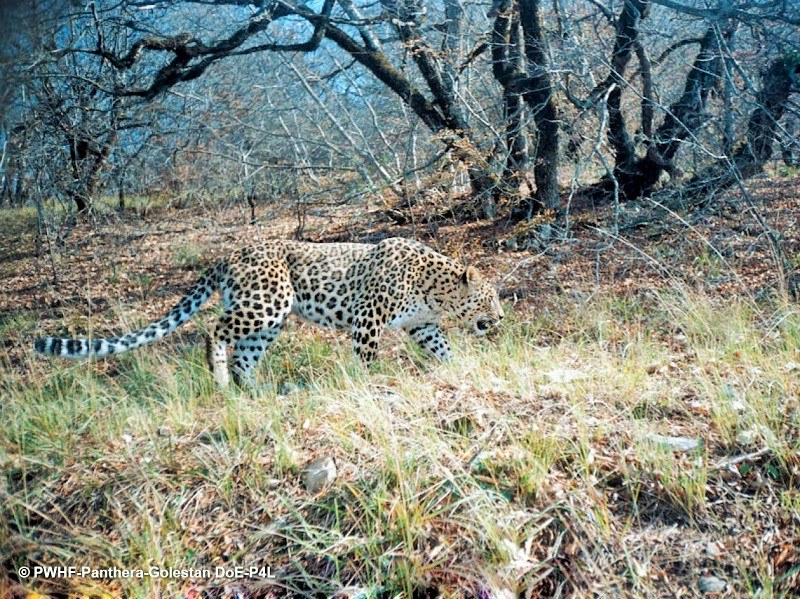 Golestan National Park