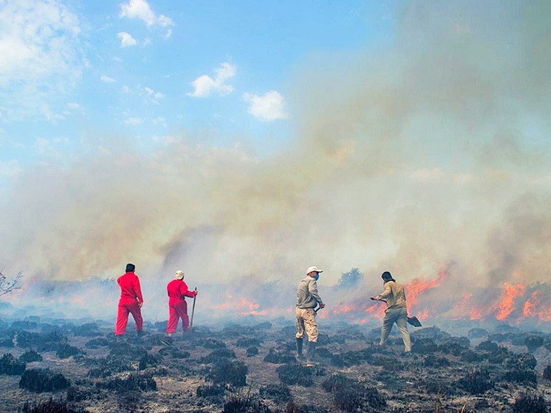 Fire in Miankaleh