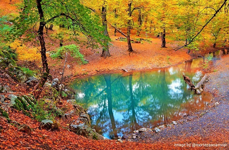 Spring in Golestan Biosphere Reserve