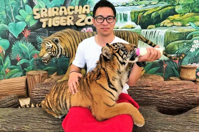 Selfie with Tigers, a Type of Hurting Wildlife