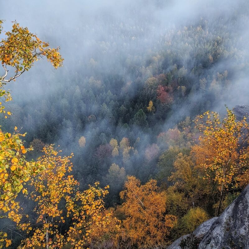 fire prevention in nature by aerial measures