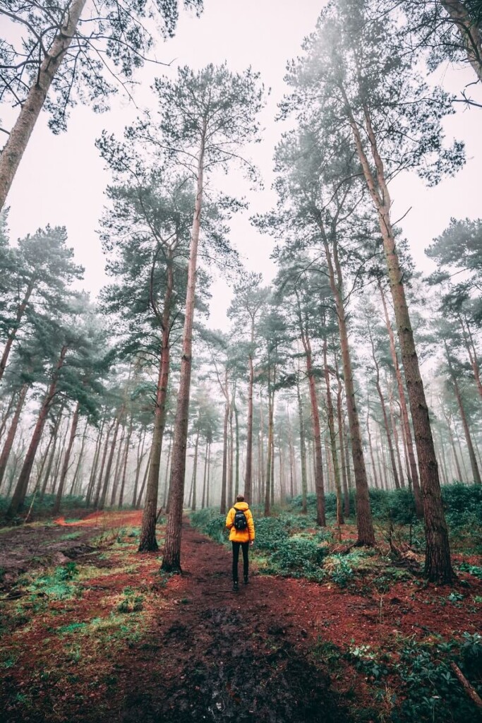 nature and responsible tourism footprints