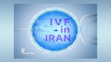 Professional IVF treatment in Iran