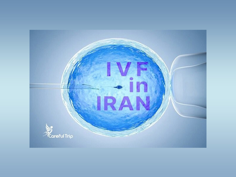 Professional IVF treatment in Iran