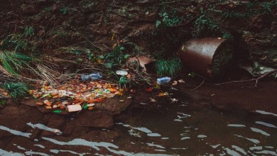 The negative impacts of irresponsible tourism on the environment