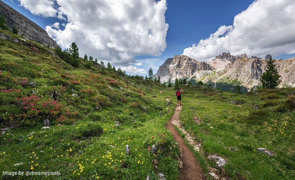 Trampling vegetation, one of the impacts of irresponsible tourism