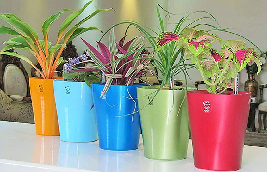 Self-watering pots help you start responsible travel from home