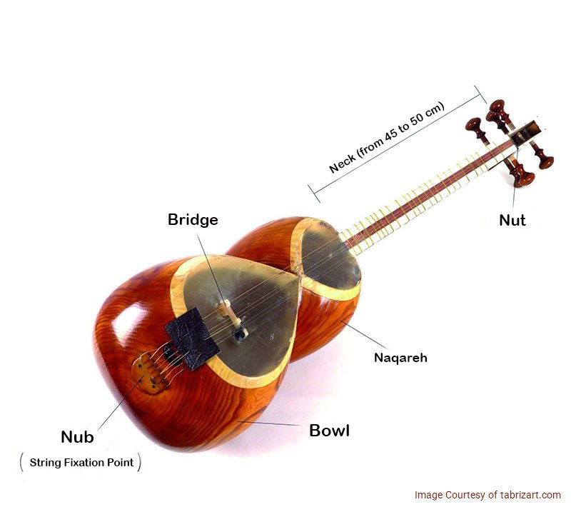 The structure and components of the tar