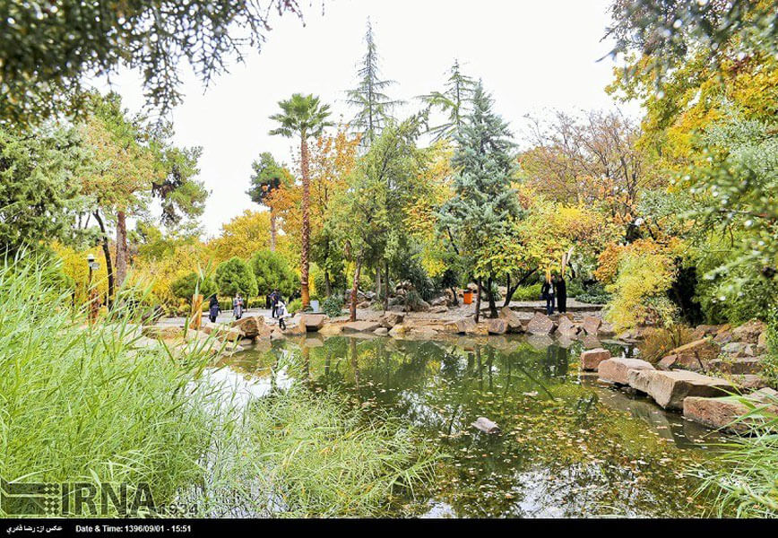 The rock garden of Eram Bagh, Shiraz