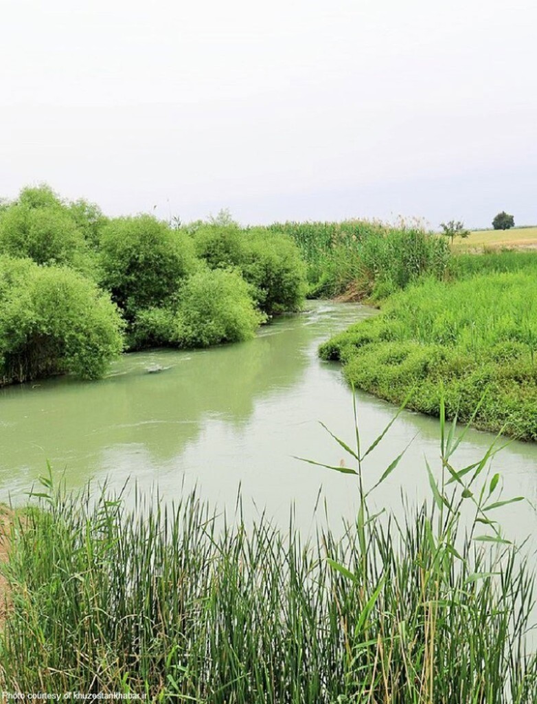 Shavor river in Bamdej Wetland