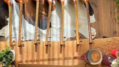 skills of making and Playing Setar in Iran