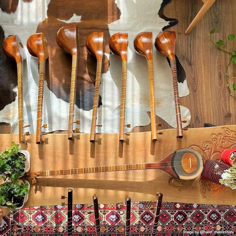 skills of making and Playing Setar in Iran