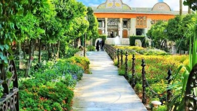 View of Narenjestan-e Qavam, Shiraz