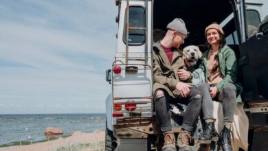 How to travel with your dog