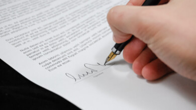 Immigration Lawyers