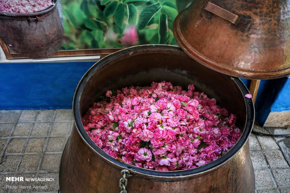 The traditional style of rosewater production in Qamsar Kashan
