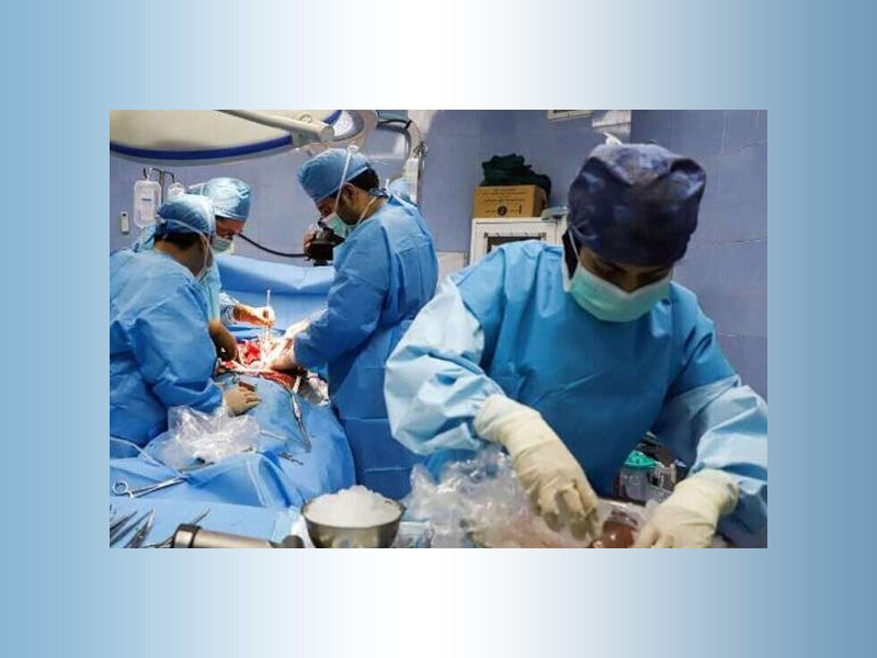 Skilled Specialists Perform Liver Transplantation
