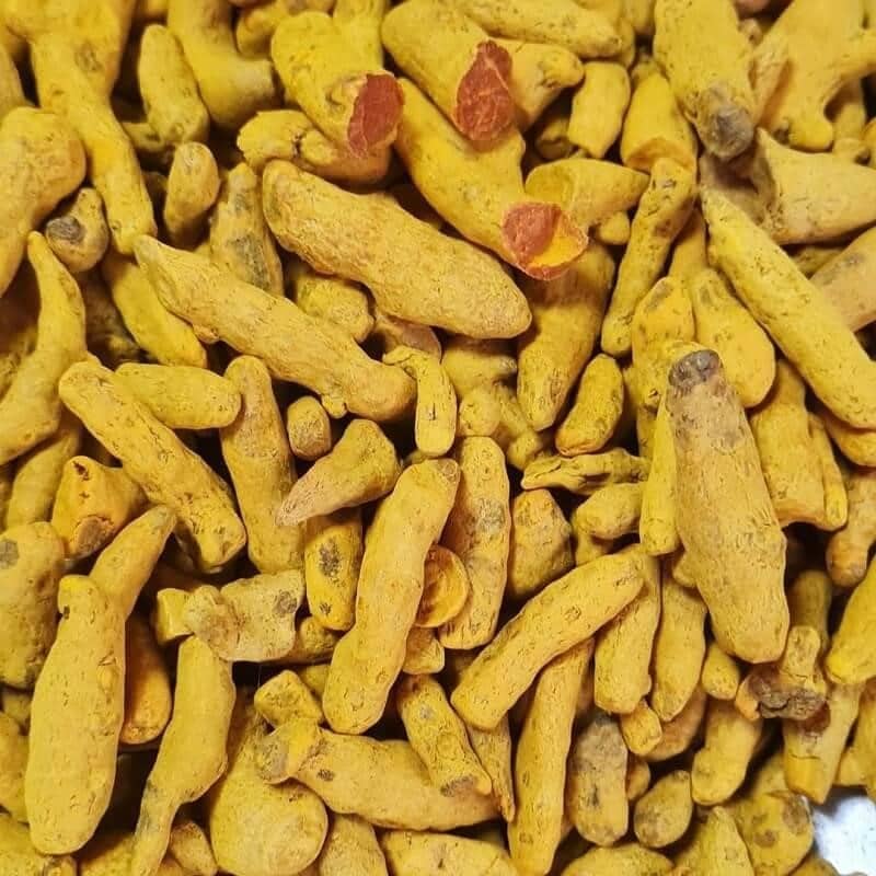 Turmeric roots