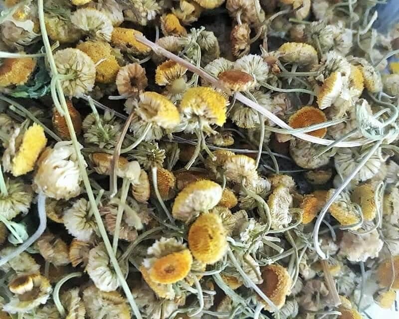 dried Babooneh (chamomile)