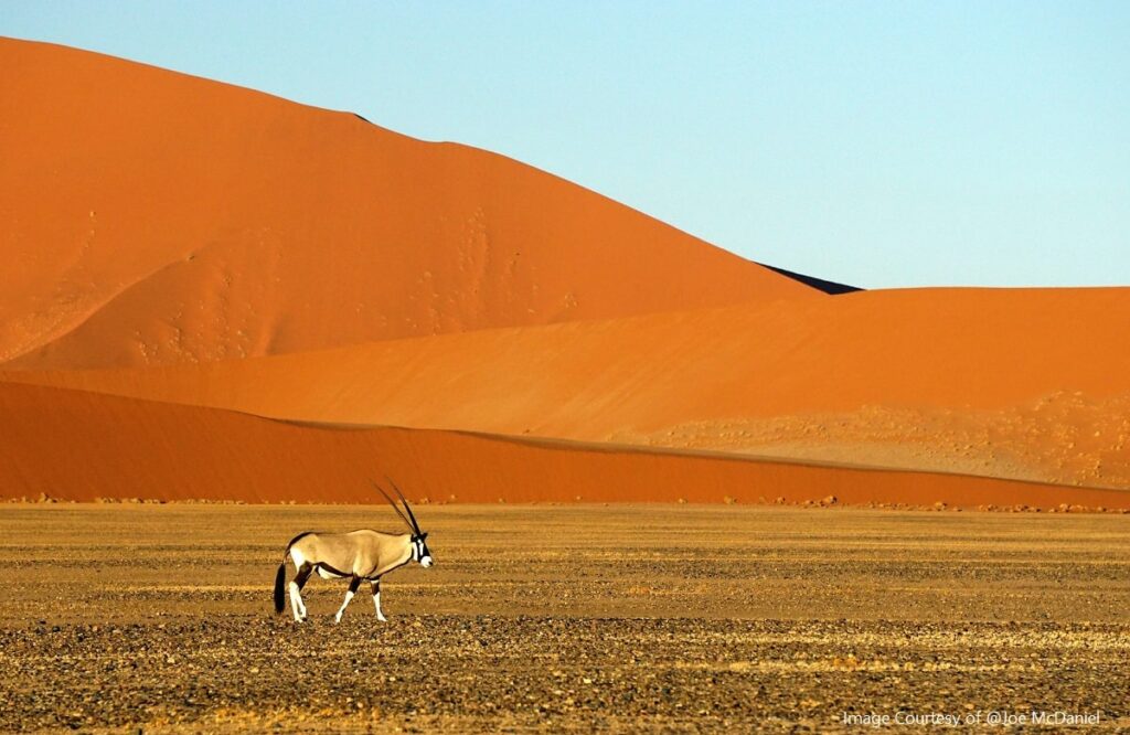 Visit Namibia Desert on an African Adventure Travel